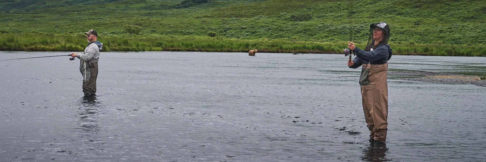 Fishing with Kodiak Brown Bears on the Frasier River, Alaska